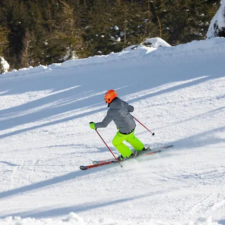 Czarna Gora 409 3* Sienna (Klodzko)